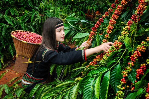 Tăng cường Cuộc vận động "Người Việt Nam ưu tiên dùng hàng Việt Nam" trong tình hình mới tại tỉnh Đắk Lắk